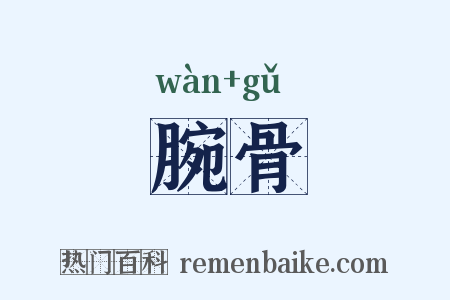 腕骨是什么意思的图片